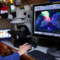 Man using microscope and computer imaging to conduct research